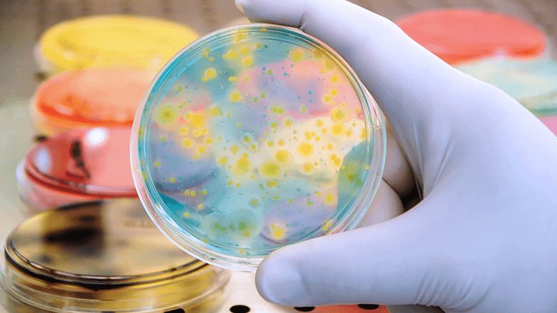 治疗性单克隆抗体定制：揭秘定制化药物的研发奥秘