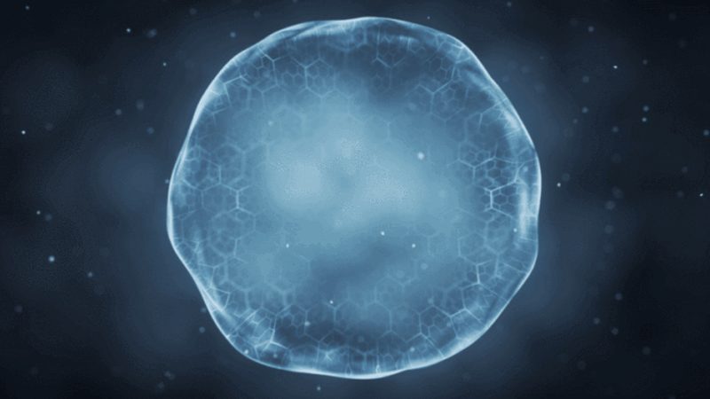 生物试剂标准物质认证，那些你不可不知的要点**
