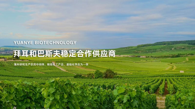 广州生物试剂直销：绕过中间商，实验室拿到的是什么