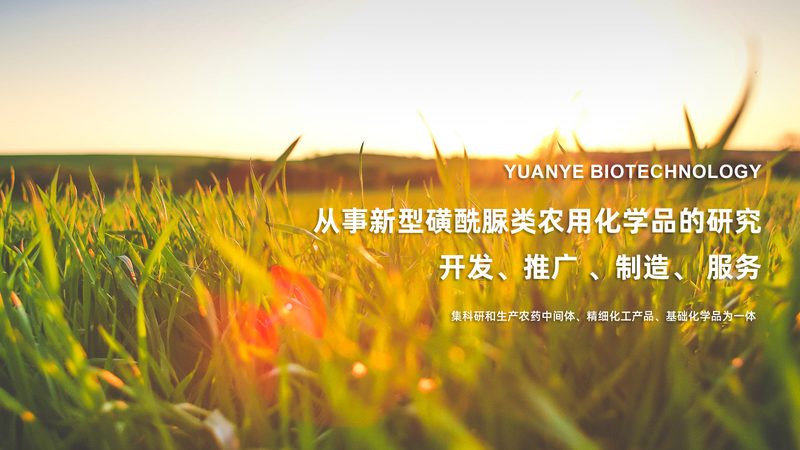 引物合成定制，生物科技研究的关键一环