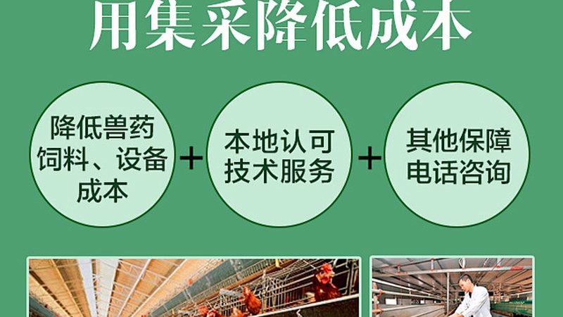 生物试剂在科研中的应用：北京生物试剂使用步骤详解