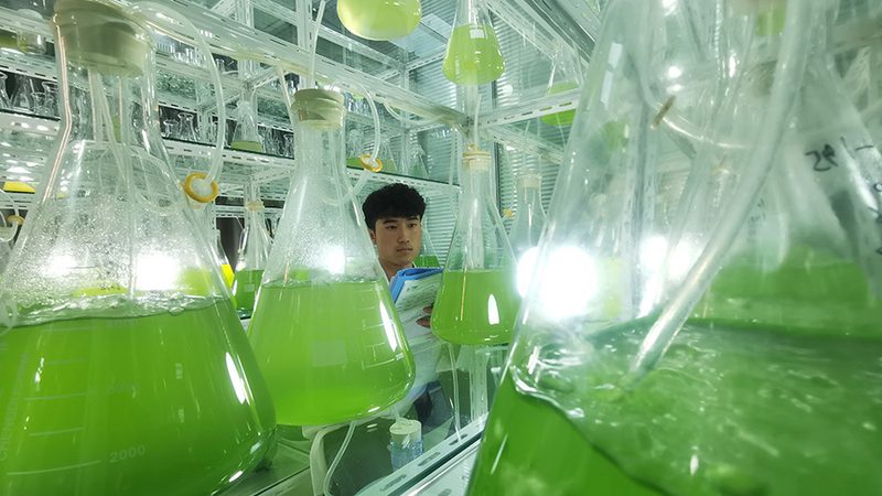 酶制剂使用流程步骤全解析**